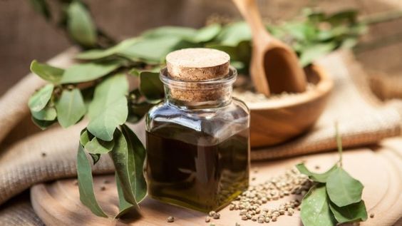 Φωτογραφία από Δαφνέλαιο, Bay Laurel oil