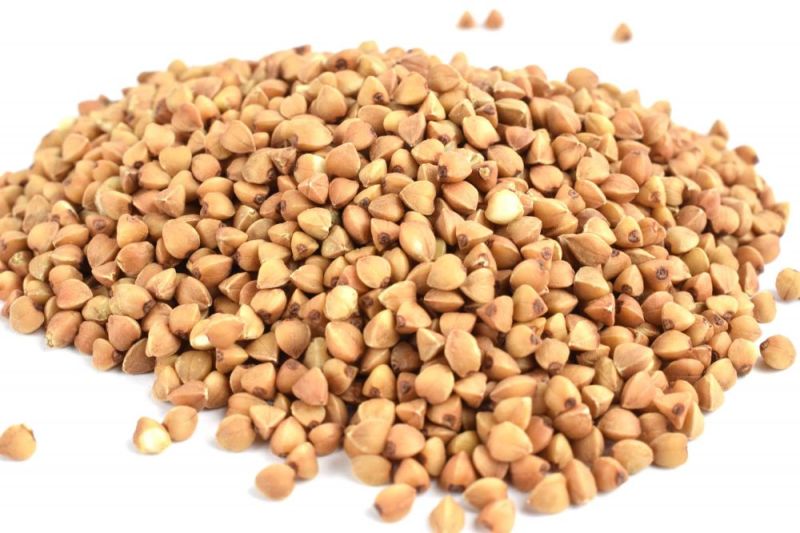 Φωτογραφία από Φαγόπυρος, Buckwheat