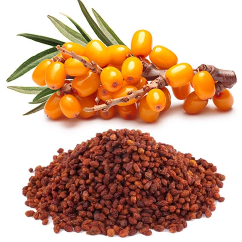 Φωτογραφία από Ιπποφαές, Sea Buckthorn