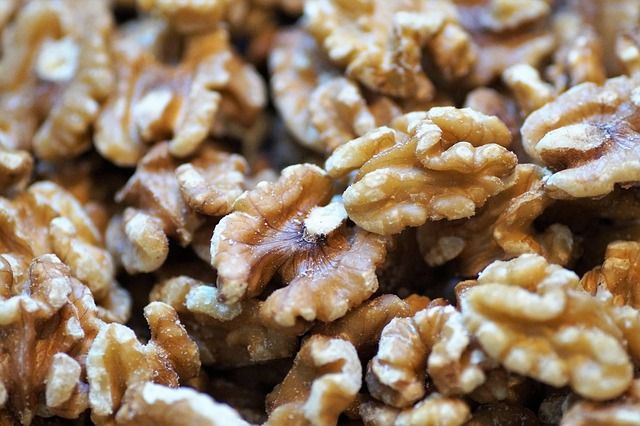 Φωτογραφία από Καρύδι πεταλούδα Ελληνικό